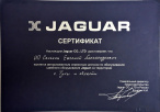 jaguar jaguar